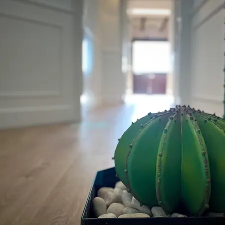 Apartmán Passeig De Gracia By Enjoybcn *